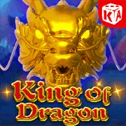 Người chơi Roulette đang quản lý chip và suy nghĩ chiến thuật