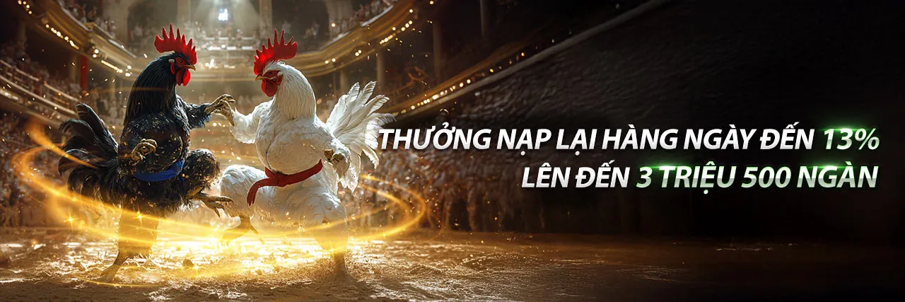 Sân đấu đá gà trực tuyến sôi động tại da ga67