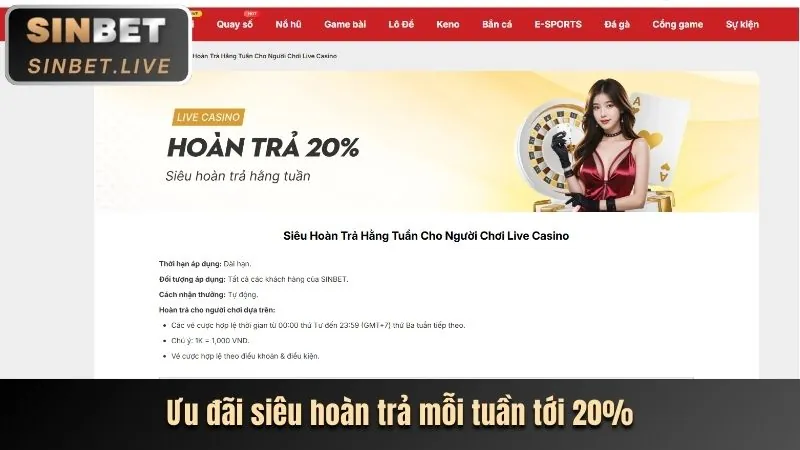 Chương Trình Hoàn Trả Cược